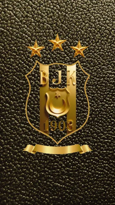 BJK-13 - Screenshot 1