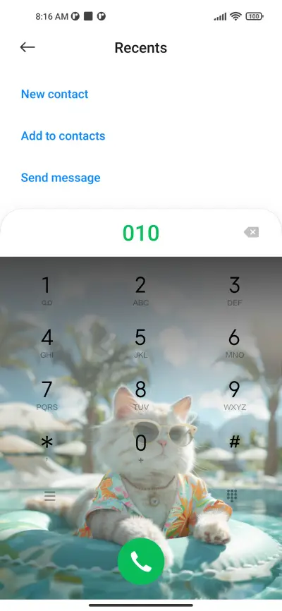 Pool cat - Screenshot 4