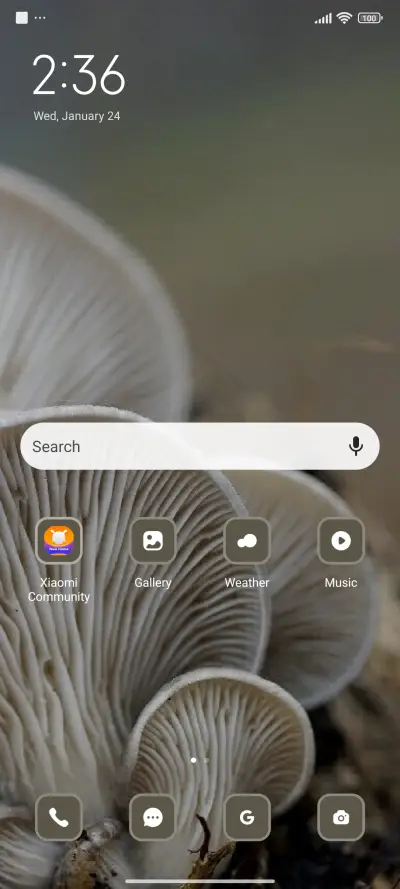 Mushroom - Screenshot 2