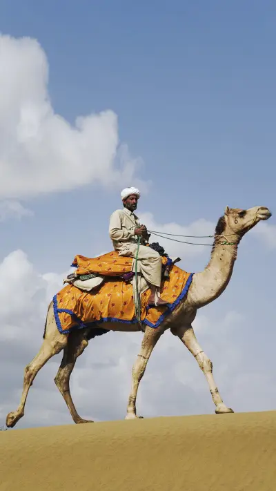 India-camel