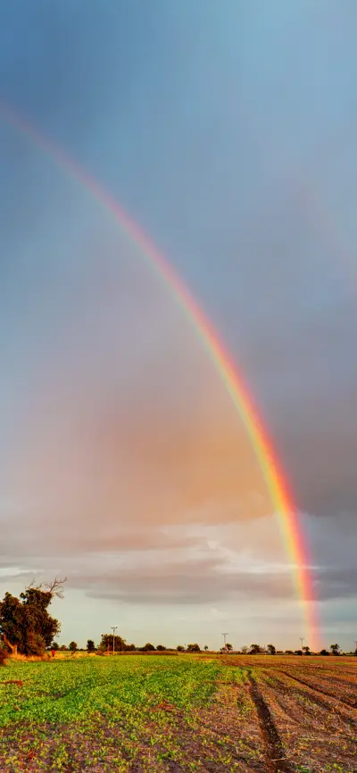 The Rainbow after the rain-PAIXIN