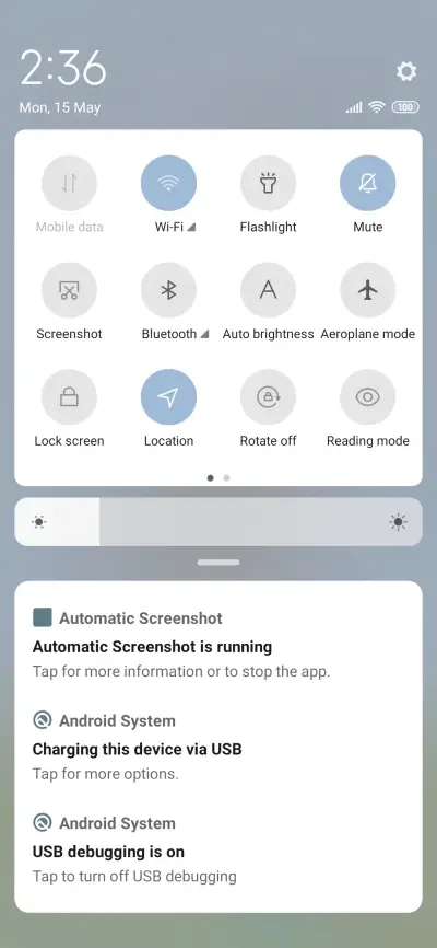 Photo with tulips - Screenshot 6