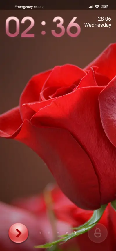 flower rose - Screenshot 1