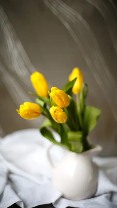 Yellow tulips in a white jug - Screenshot 1