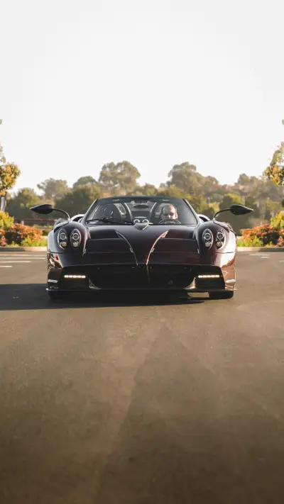 Exotic (10) - Screenshot 1