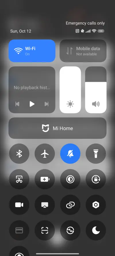 Black Lion King - Screenshot 5