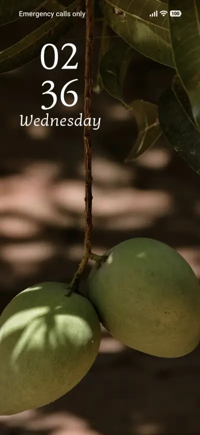 Green Harmony THEME for Xiaomi MIUI HyperOS