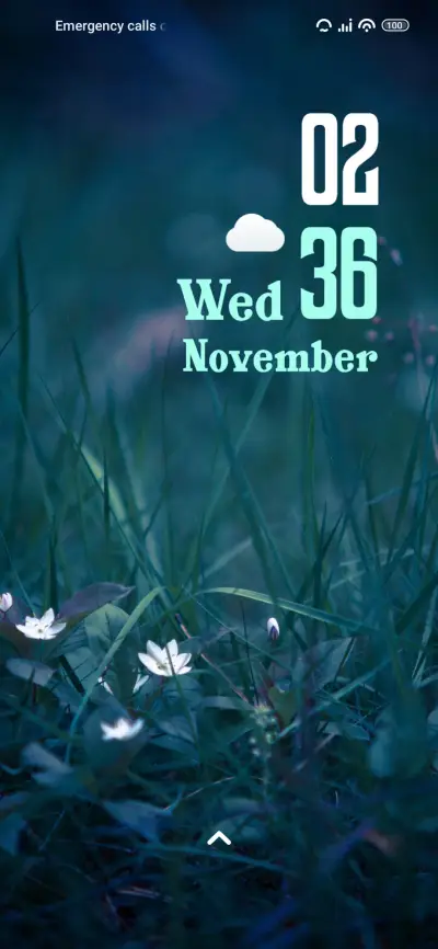 Dawn Flower - Screenshot 1