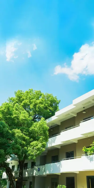 The Shape of Light (1).jpg