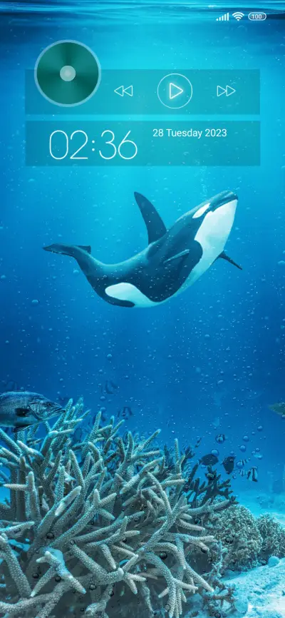 underwater whale