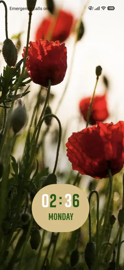 Blossom Picks THEME for Xiaomi MIUI HyperOS