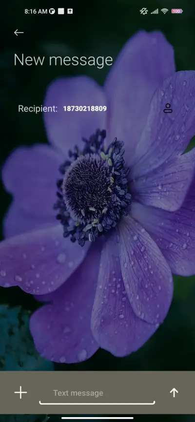 Vinca blue - Screenshot 8