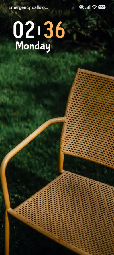 Luxury Chair