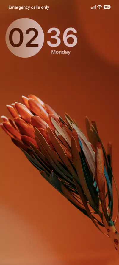 Blossom