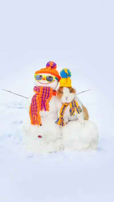 Little rabbit in a hat with funny dressed snowman - Screenshot 1