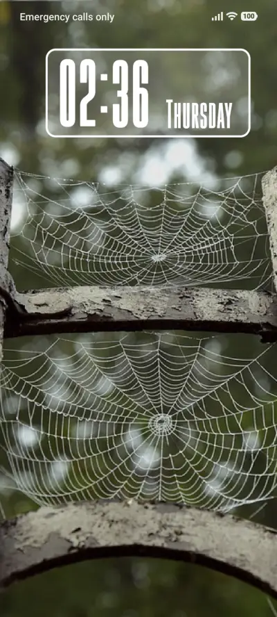 Spider Web - Screenshot 1