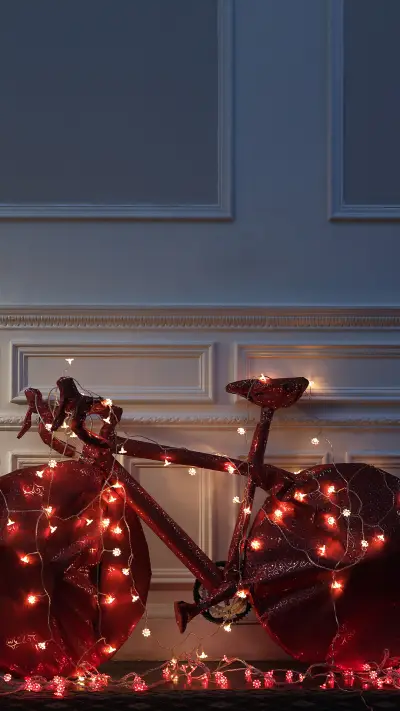 International-bicycle - Screenshot 1