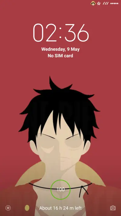 The monkey off luffy