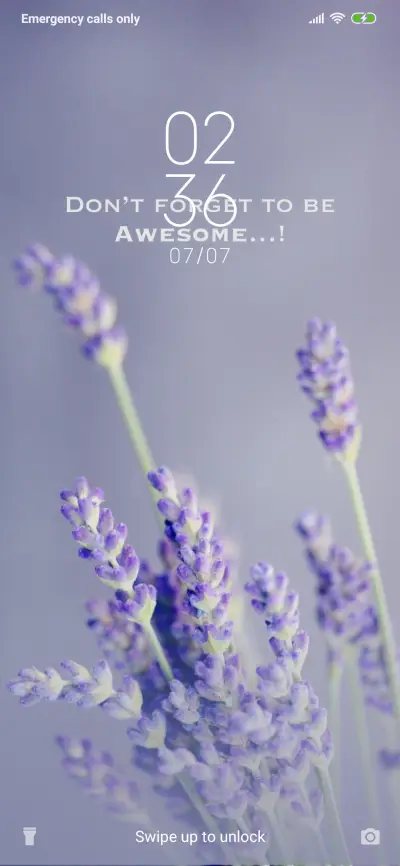 Lavender_1_3MDS - Screenshot 1