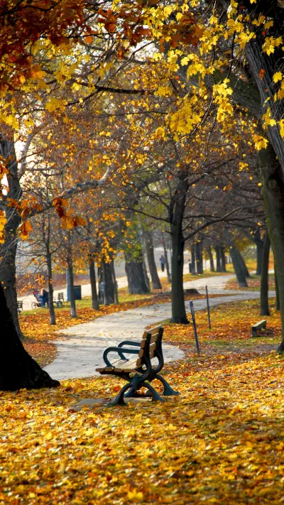 beautiful wallpapers-07 - Screenshot 1