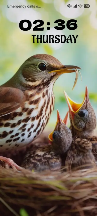 Thrush Plumage - Screenshot 1