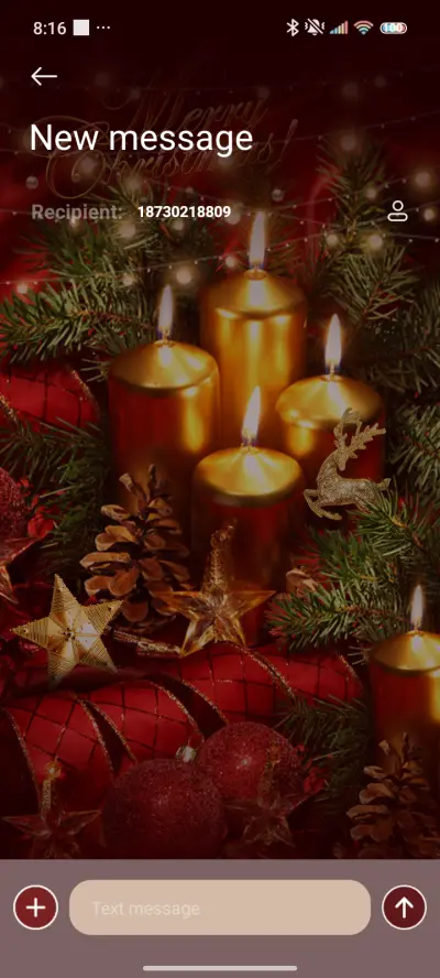 Celebration - Screenshot 8