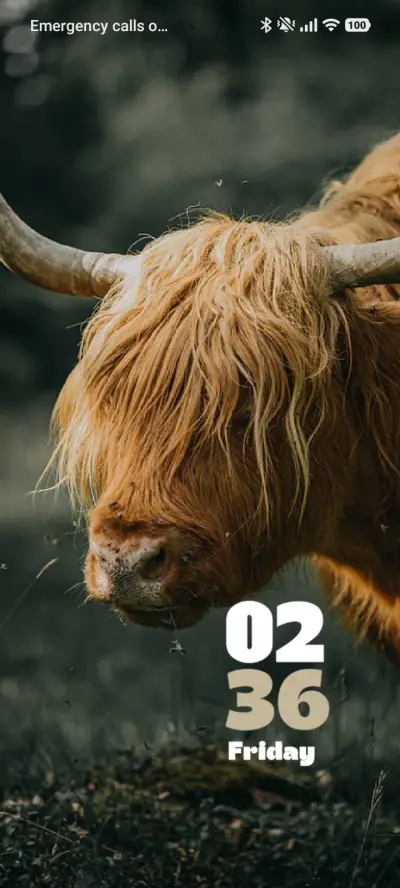 Bull THEME for Xiaomi MIUI HyperOS