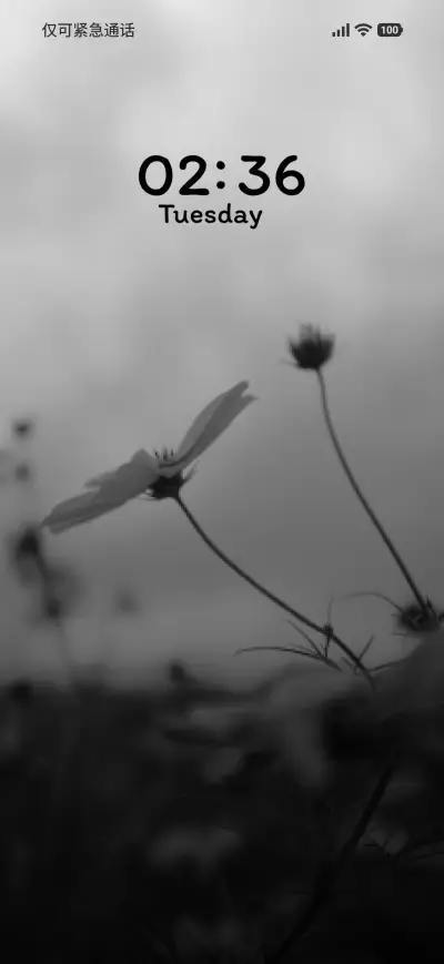 Grey Petals
