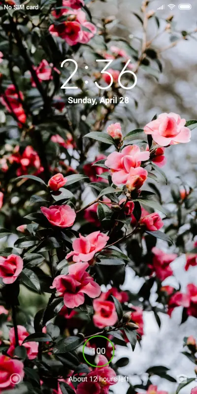 beautiful - Screenshot 1