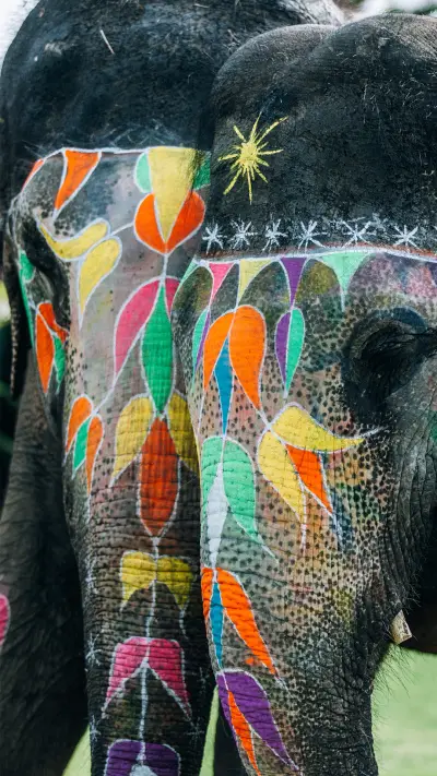 international_holi (13)