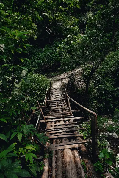 IMG_20250926_165702_imresizer.jpg (1).png