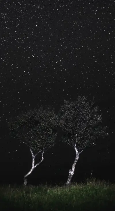 Mystery (43) - Screenshot 1