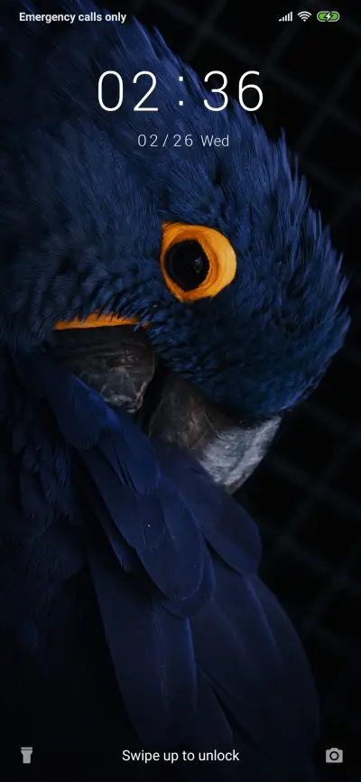 Parrot_3MDP - Screenshot 1