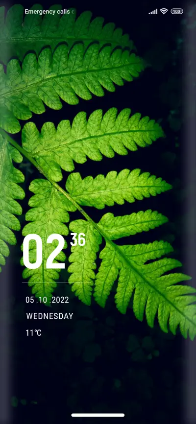 Natural_ferns - Screenshot 1