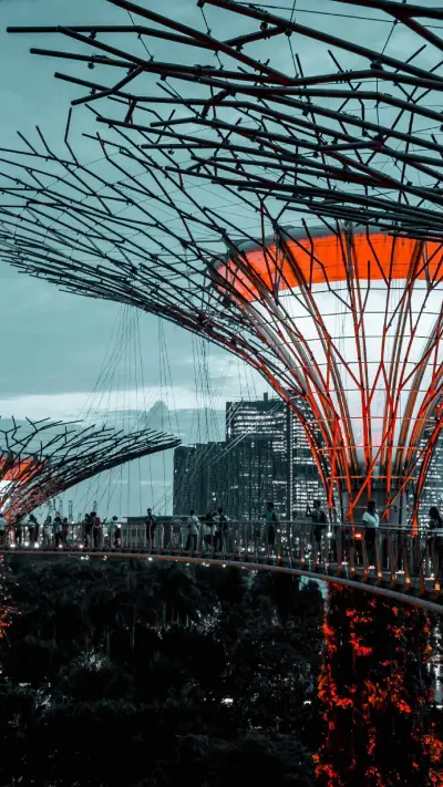 photo-1534152404058-33b90d4d5f42