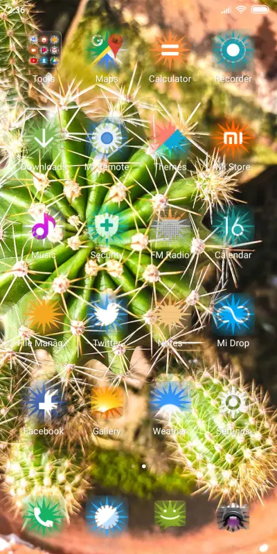 Cactus_DWM2 - Screenshot 3