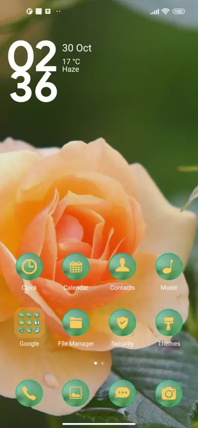 flower orange - Screenshot 2