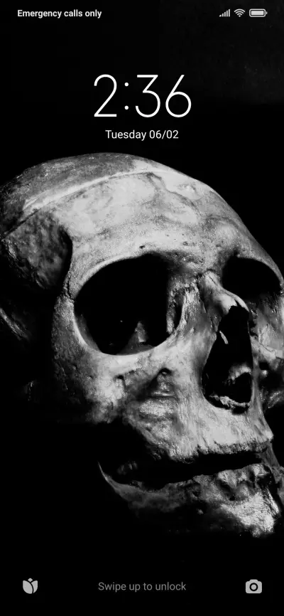 Skull - Screenshot 1