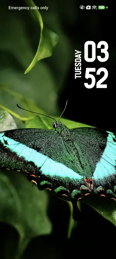 Butterfly - Screenshot 1