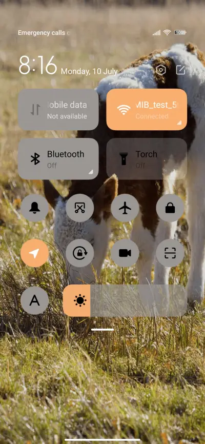 Niu Niu eats grass - Screenshot 5