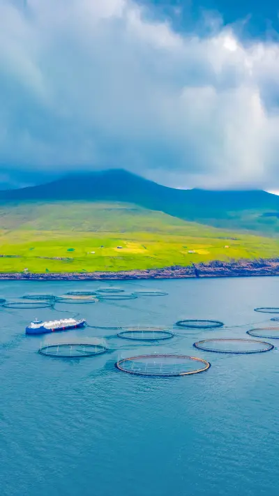 The summer view from flying drone of Trollkonufingur cliffs