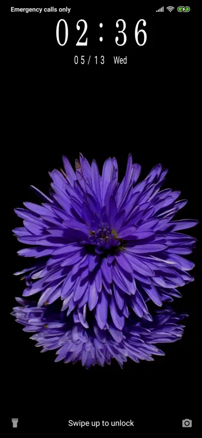 Purple Flower_3MDP - Screenshot 1