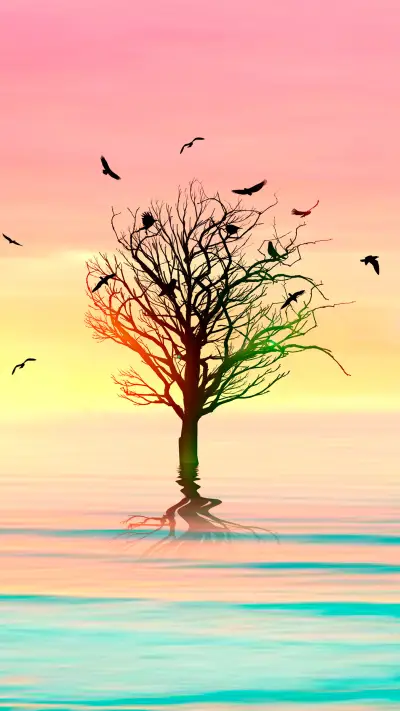 lingering light of the setting sun-01