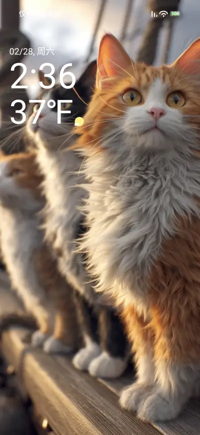 Cat sails - Screenshot 1