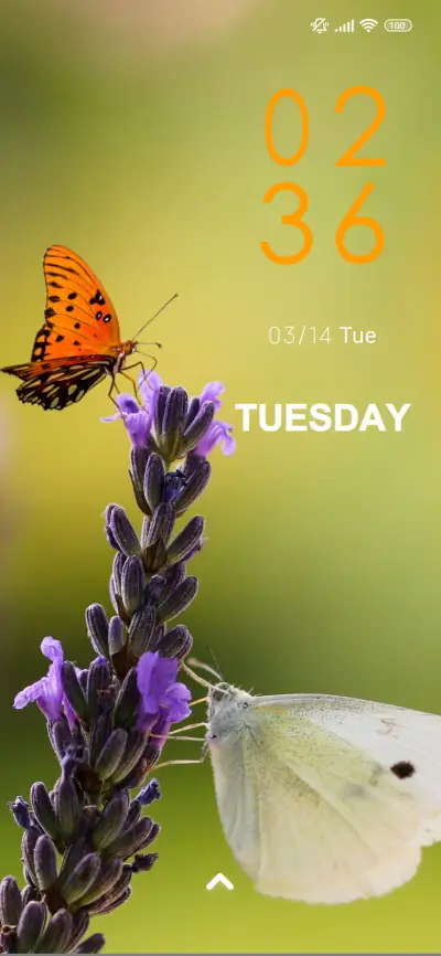 lavender butterfly