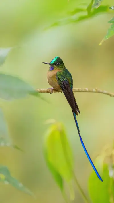 Spring scenery-12 - Screenshot 1