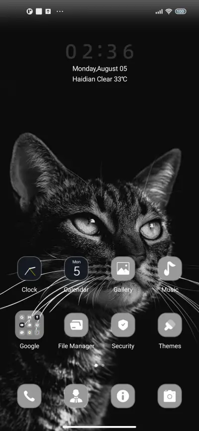 Black Cat - Screenshot 2