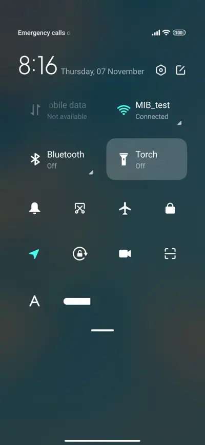 Blue Flower - Screenshot 5