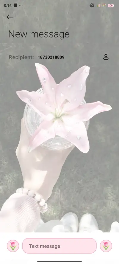 Flower and Girl - Screenshot 9