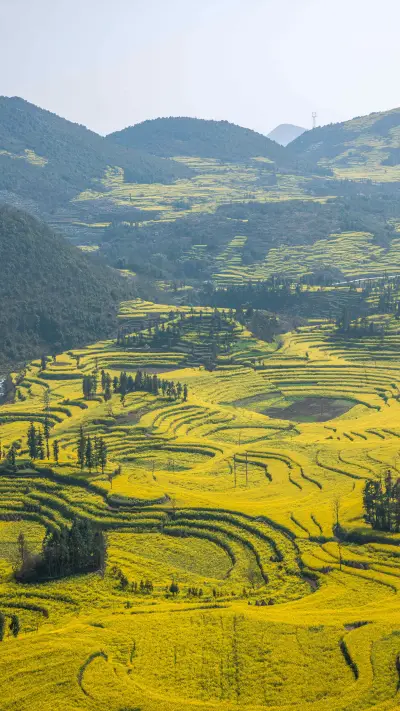 Terraces in Yunnan